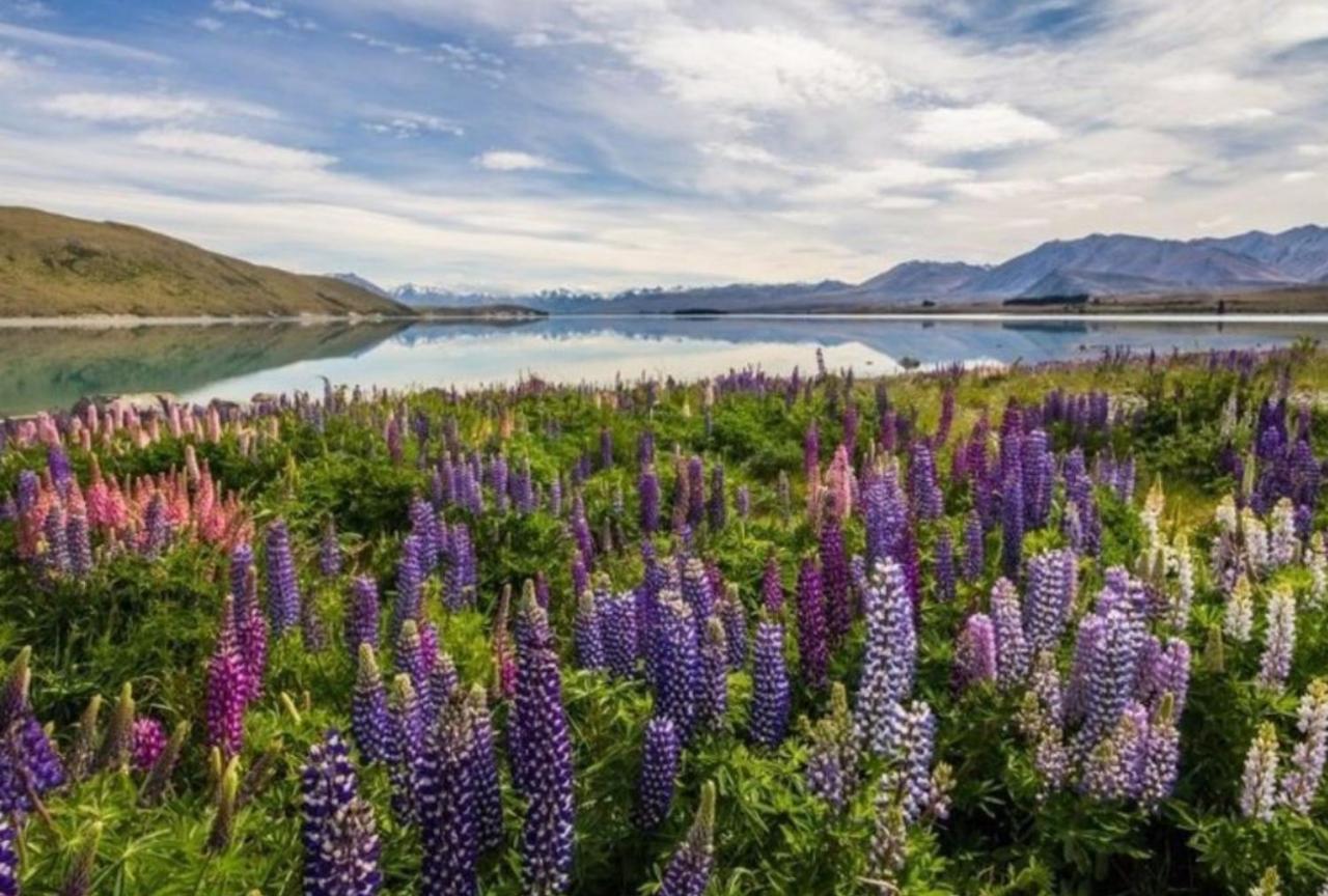 Lake Tekapo Village Motel المظهر الخارجي الصورة